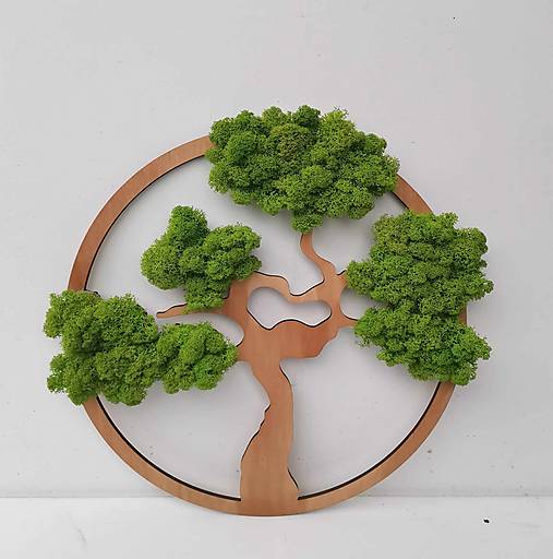 Obrazy - Machový obraz, bonsai, 40 cm - 16143212_