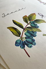 Papiernictvo - Veľký botanický kalendár 2025 / ✿ Výpredaj ✿ - 16150368_