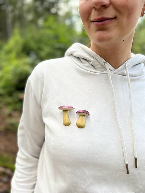 Brošne - Suchohřib malý - 16170968_