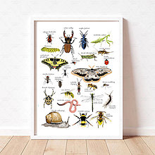 Hračky - Art Print - hmyz a drobné živočíchy - 16174483_