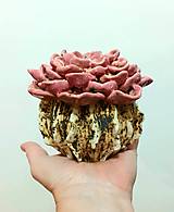 Nádoby - váza "Ružový kaktus" - 16177475_
