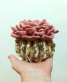 Nádoby - váza "Ružový kaktus" - 16177475_