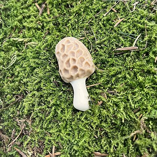 Brošne - Smrž - 16178712_