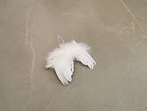 Dekorácie - Anjelske krídla - 16181600_