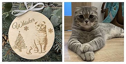 Dekorácie - Vianočná guľa - mačička Scottish fold gravír - 16189528_