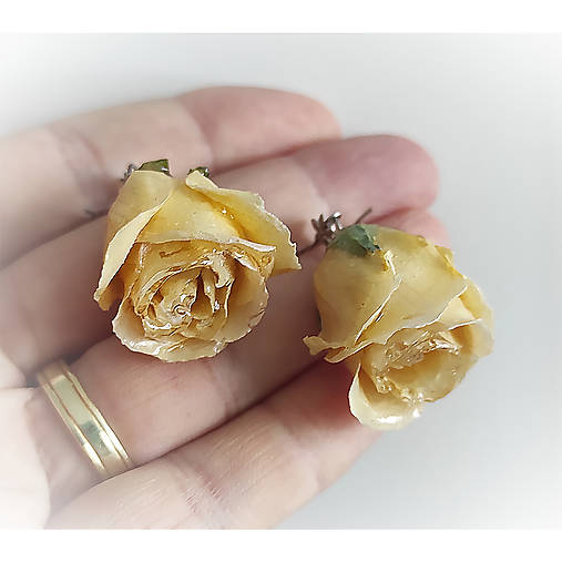 Náušnice žluté růže uchované trvale v živici