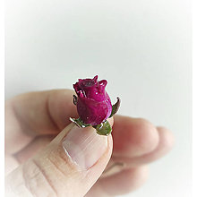 Náušnice - Náušnice červené růže uchované trvale v živici - 16189258_