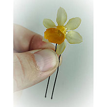 Ozdoby do vlasov - Sponka do vlasů s živým květem "Narcis" trvale uchovaným v živici - 16193314_