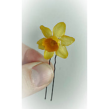 Ozdoby do vlasov - Sponka do vlasů s živým květem "Narcis" trvale uchovaným v živici - 16193315_