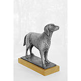Sochy - Retríver, originálna cínová socha psa, dekorácia do interiéru - 16195029_