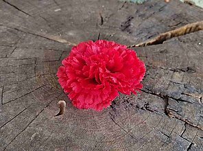 Iný materiál - Hlavička kvetu karafiat 7cm, červená - dekorácia - 16196524_