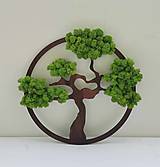 Obrazy - Machový obraz, bonsai, 40 cm - 16195838_