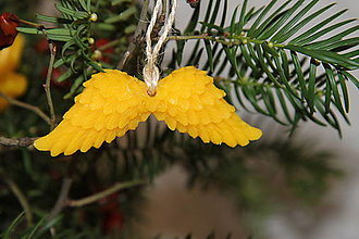 Dekorácie - Vianočné ozdoby z včelieho vosku (Krídla) - 16208785_