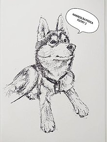 Kresby - Kresba psíka, zvieratka podľa fotky - 16210067_