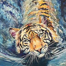 Obrazy - Tiger olejomalba - 16212527_