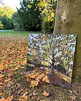 Obrazy - Jeseň v parku - 16216151_