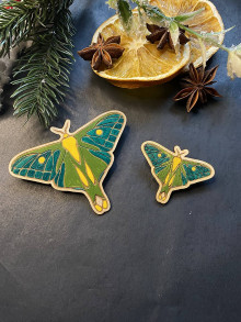 Sady šperkov - sada drevenej ručne maľovanej  vlasovej spony a brošne zelený nočný motýľ - 16217790_