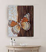 Motýľ (50x40)