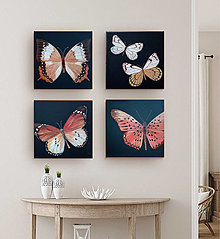 Obrazy - Set motýľov - 16223458_