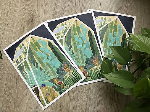 Obrazy - Print Kaktusy - 16225548_