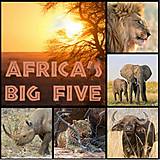 Servítka Afrika - zvieratá safari 4ks (S68)