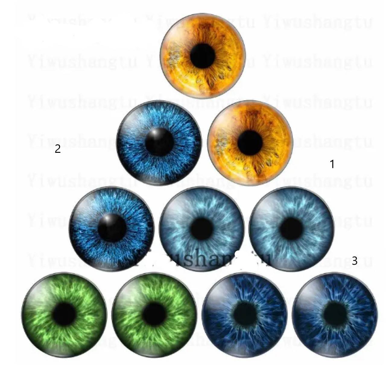 KA101 Kabošon oči 12 mm