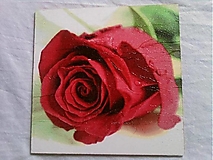 Obrázok Červená ruža