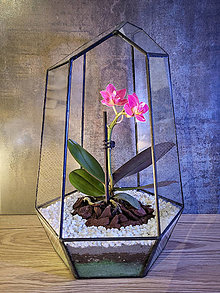 Dekorácie - Rastlinné terárium s Orchideou - 16244390_