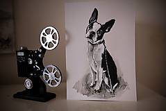Obrazy - Portrét psíka - 16249411_