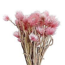 Suroviny - Sušené kvety CAPBLUMEN 50 g - Ružové H01006 - 16253808_