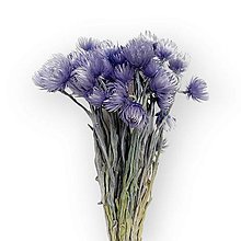 Suroviny - Sušené kvety CAPBLUMEN 50 g - Fialové H01007 - 16254352_