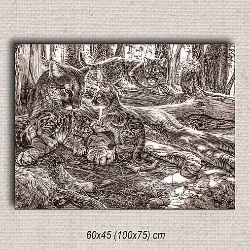 Obrazy - Obraz Rysy02 (60x45 cm - Hnedá) - 16255457_