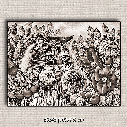 Obrazy - Obraz Mačka 01 (100x75 cm - Hnedá) - 16255582_