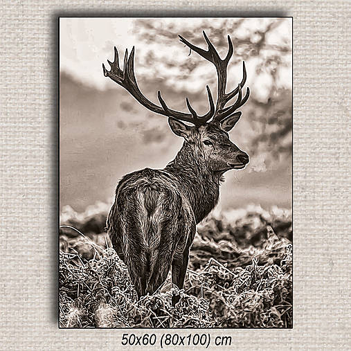 Obrazy - Obraz Jeleň 01 (50x60 cm - Hnedá) - 16255590_