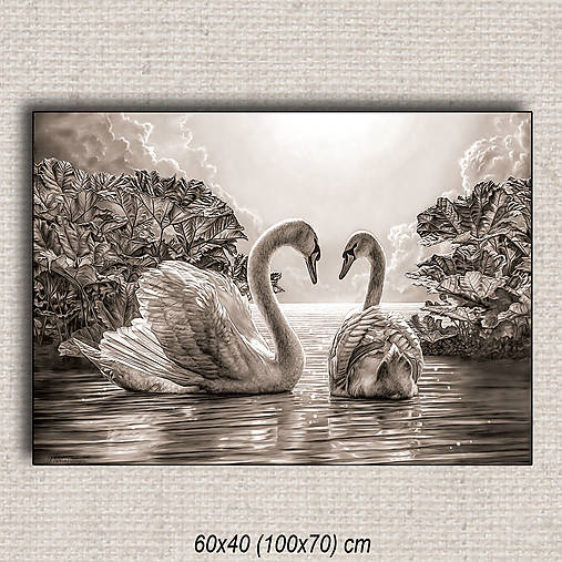 Obrazy - Obraz Labute 01 (60x40 cm - Hnedá) - 16255603_