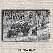 Obrazy - Obraz Medvede 01 (60x40 cm - Čierna) - 16255258_