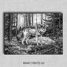 Obrazy - Obraz Vlk 01 (60x40 cm - Čierna) - 16255490_