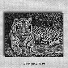 Obrazy - Obraz Tiger 01 (60x45 cm - Čierna) - 16255518_