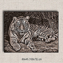 Obrazy - Obraz Tiger 01 (60x45 cm - Hnedá) - 16255519_