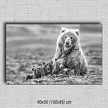 Obrazy - Obraz Medvede 03 (60x50 cm - Čierna) - 16255570_