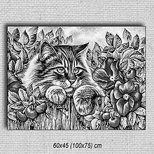 Obrazy - Obraz Mačka 01 (60x45 cm - Čierna) - 16255579_