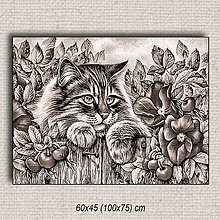 Obrazy - Obraz Mačka 01 (100x75 cm - Hnedá) - 16255582_