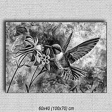 Obrazy - Obraz Kolibrík 01 (60x40 cm - Čierna) - 16255599_