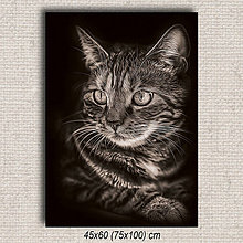 Obrazy - Obraz Mačka 02 (45x60 cm - Hnedá) - 16255646_