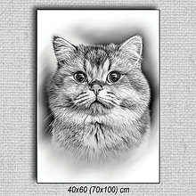 Obrazy - Obraz Mačka 03 (40x60 cm - Čierna) - 16255656_