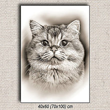 Obrazy - Obraz Mačka 03 (40x60 cm - Hnedá) - 16255657_