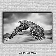 Obrazy - Obraz Orol 01 (60x35 cm - Čierna) - 16255671_