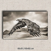 Obrazy - Obraz Orol 01 (100x60 cm - Hnedá) - 16255672_