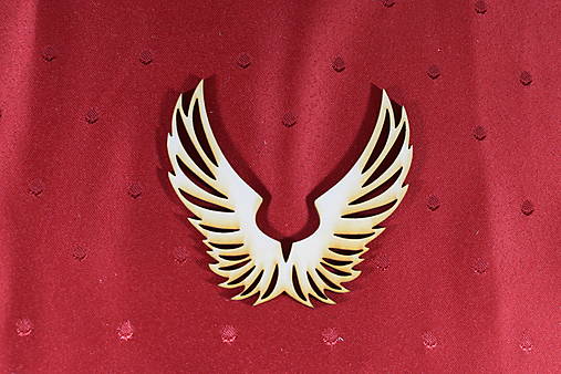 Dekorácie - Anjelské krídla výrez z preglejky na ďalšiu tvorbu 2 - 16264372_