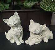 Dekorácie - Mačičky - 3D omaľovánka - 16263144_